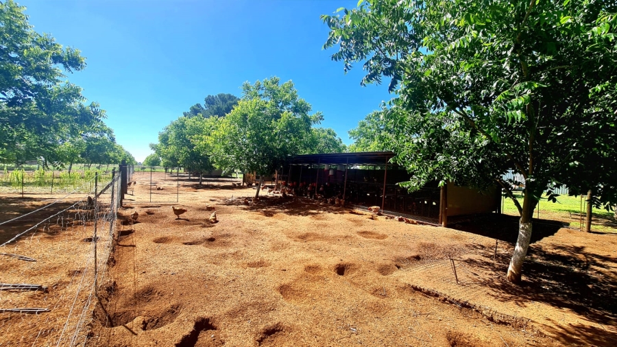 Commercial Property for Sale in Bainsvlei Free State